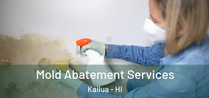  Mold Abatement Services Kailua - HI