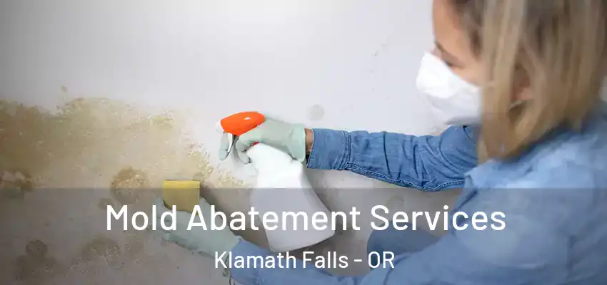  Mold Abatement Services Klamath Falls - OR