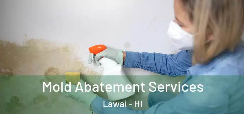  Mold Abatement Services Lawai - HI