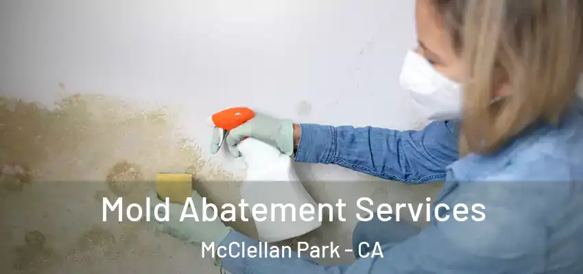  Mold Abatement Services McClellan Park - CA