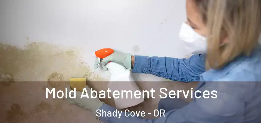  Mold Abatement Services Shady Cove - OR