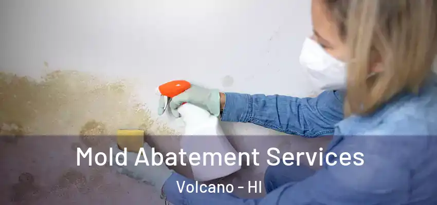  Mold Abatement Services Volcano - HI