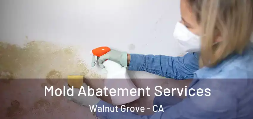 Mold Abatement Services Walnut Grove - CA