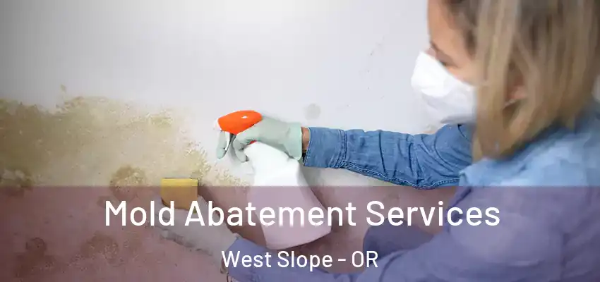  Mold Abatement Services West Slope - OR