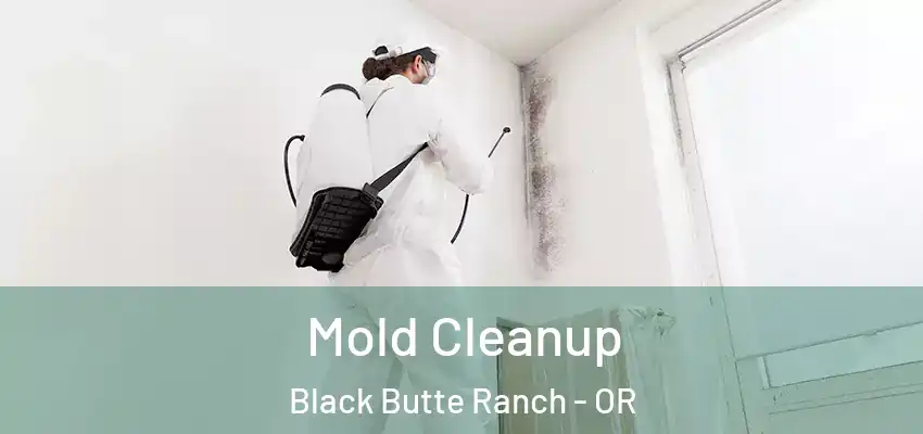  Mold Cleanup Black Butte Ranch - OR