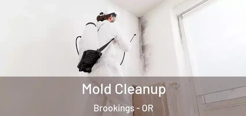 Mold Cleanup Brookings - OR