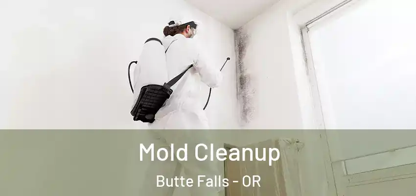  Mold Cleanup Butte Falls - OR
