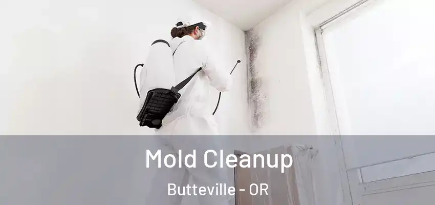  Mold Cleanup Butteville - OR