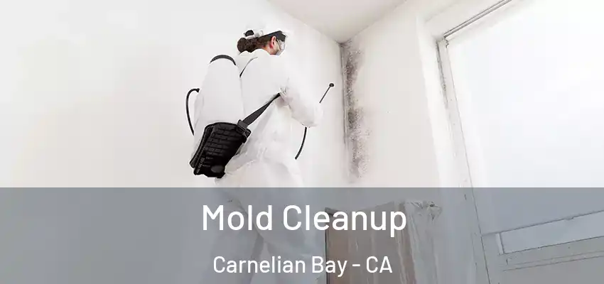  Mold Cleanup Carnelian Bay - CA