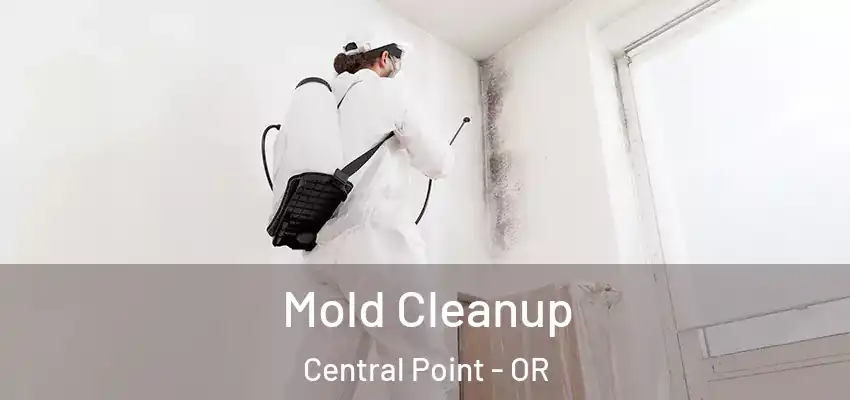  Mold Cleanup Central Point - OR