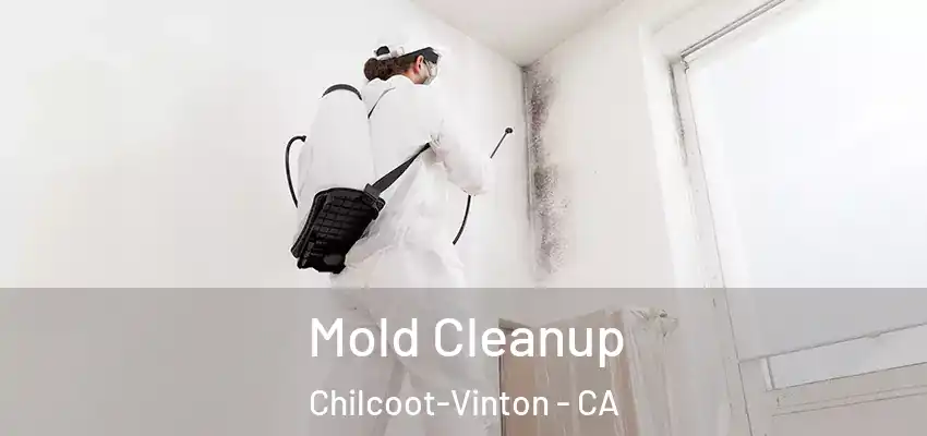  Mold Cleanup Chilcoot-Vinton - CA