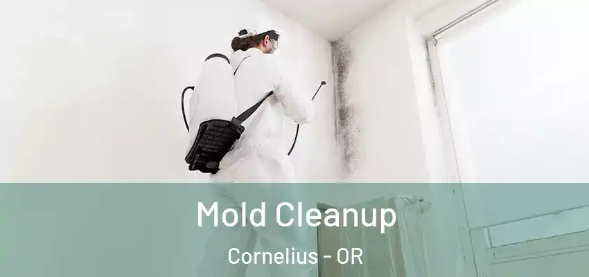  Mold Cleanup Cornelius - OR
