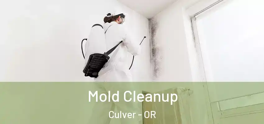  Mold Cleanup Culver - OR