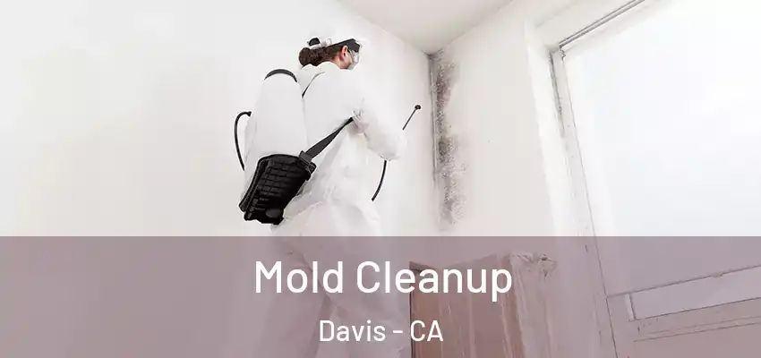  Mold Cleanup Davis - CA