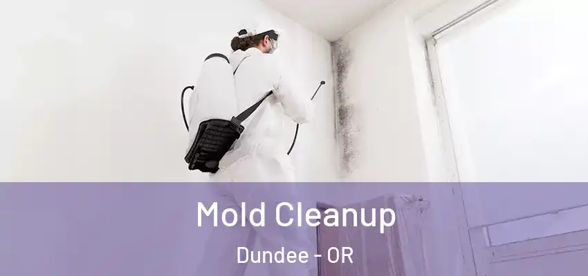  Mold Cleanup Dundee - OR