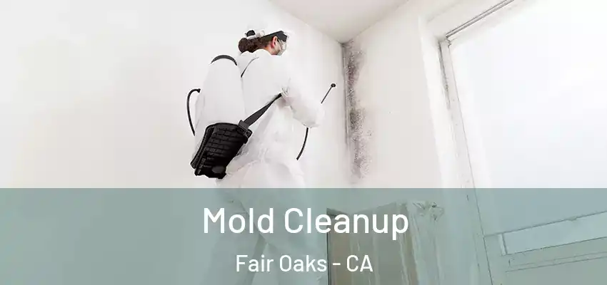 Mold Cleanup Fair Oaks - CA
