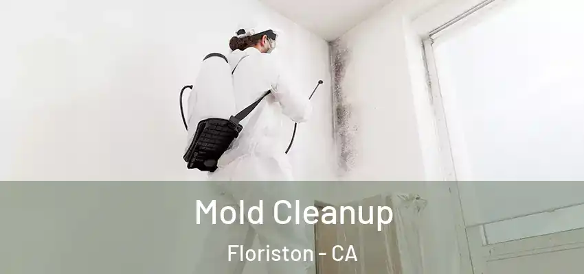 Mold Cleanup Floriston - CA