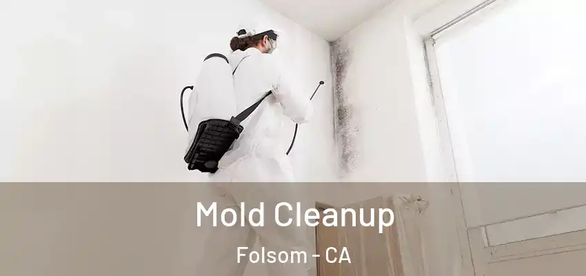  Mold Cleanup Folsom - CA