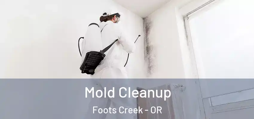  Mold Cleanup Foots Creek - OR
