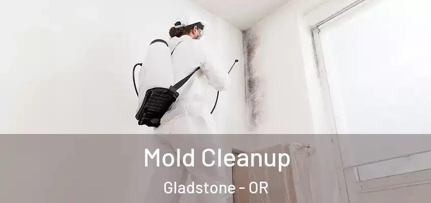  Mold Cleanup Gladstone - OR