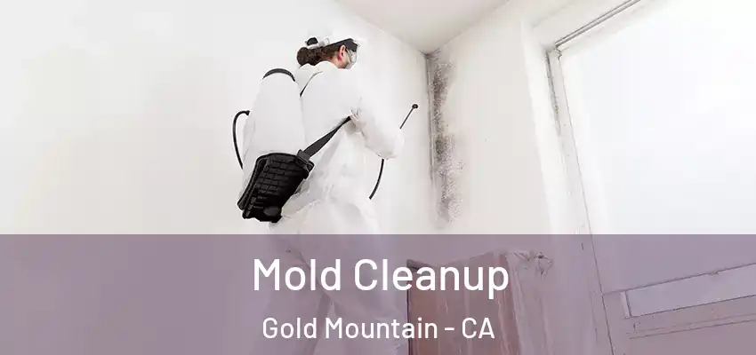  Mold Cleanup Gold Mountain - CA