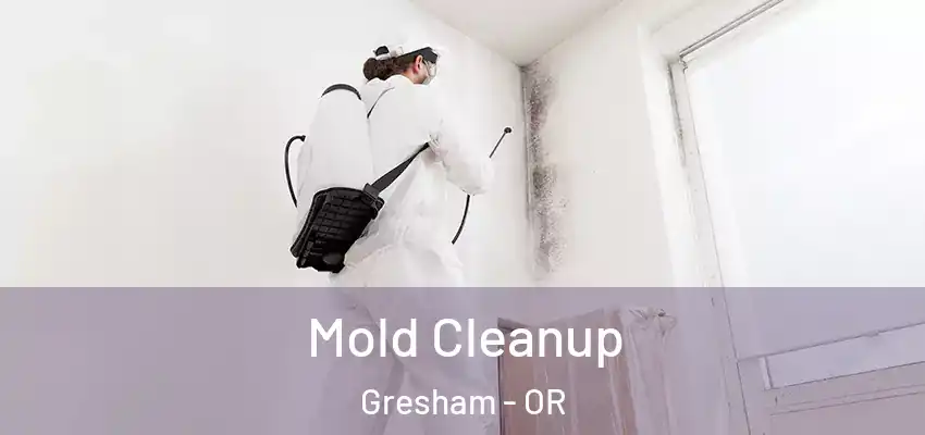  Mold Cleanup Gresham - OR
