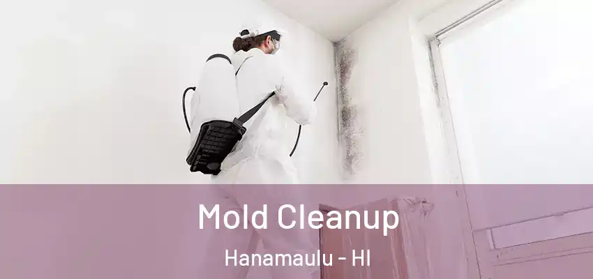  Mold Cleanup Hanamaulu - HI
