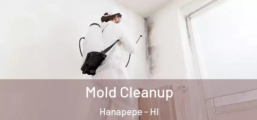  Mold Cleanup Hanapepe - HI