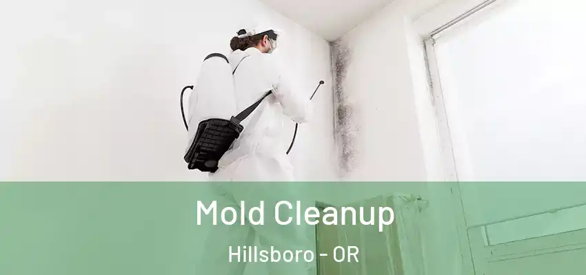  Mold Cleanup Hillsboro - OR