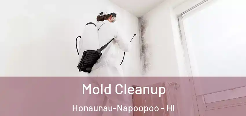  Mold Cleanup Honaunau-Napoopoo - HI