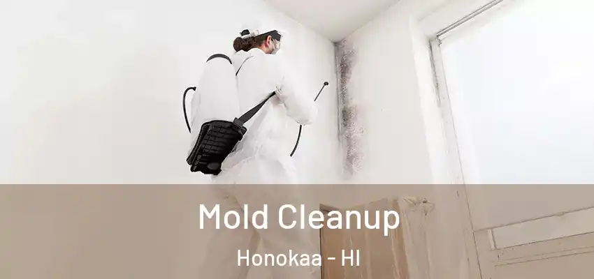 Mold Cleanup Honokaa - HI