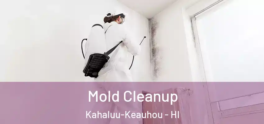 Mold Cleanup Kahaluu-Keauhou - HI