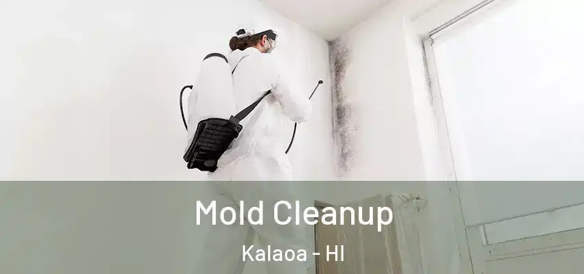  Mold Cleanup Kalaoa - HI