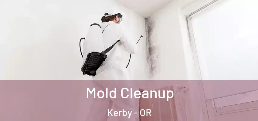  Mold Cleanup Kerby - OR
