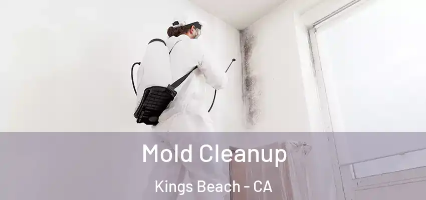  Mold Cleanup Kings Beach - CA