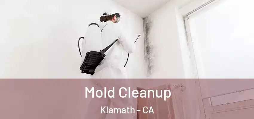  Mold Cleanup Klamath - CA