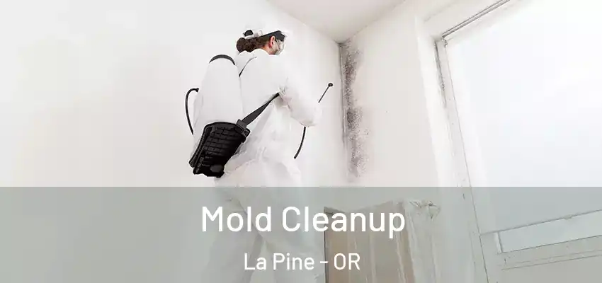  Mold Cleanup La Pine - OR