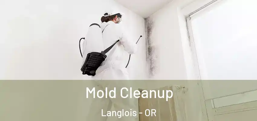  Mold Cleanup Langlois - OR