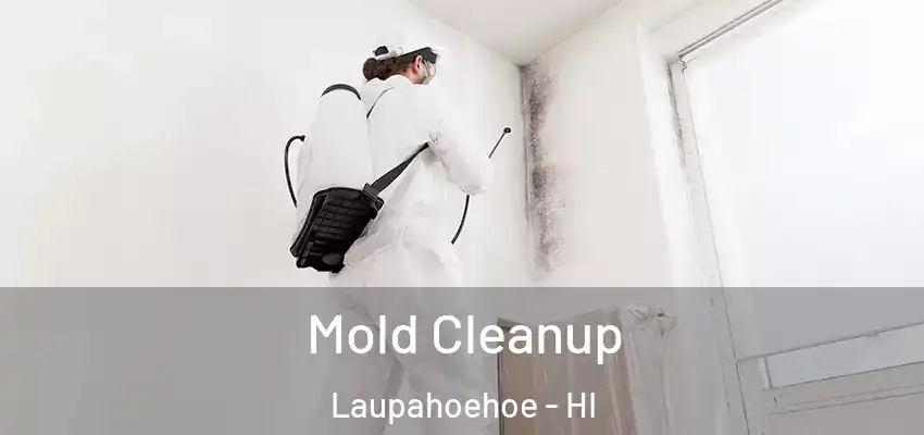  Mold Cleanup Laupahoehoe - HI