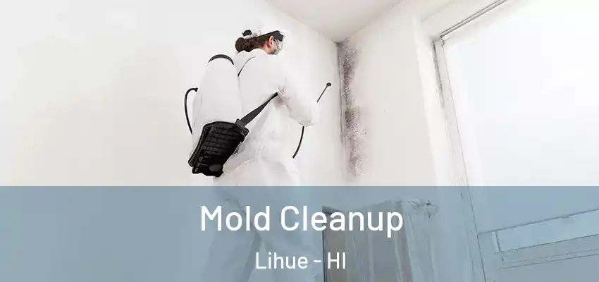  Mold Cleanup Lihue - HI