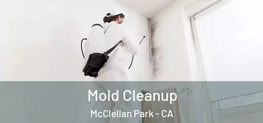  Mold Cleanup McClellan Park - CA