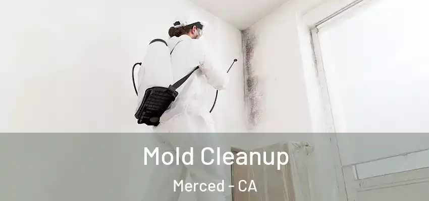  Mold Cleanup Merced - CA