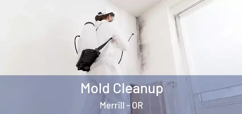  Mold Cleanup Merrill - OR