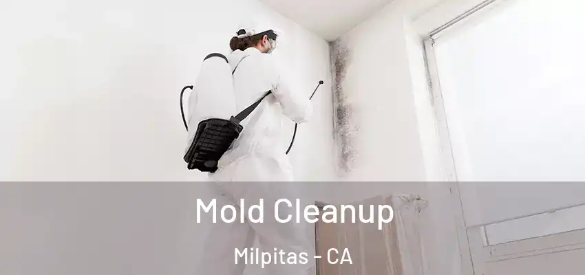  Mold Cleanup Milpitas - CA