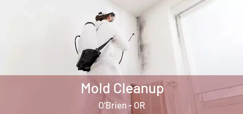  Mold Cleanup O'Brien - OR