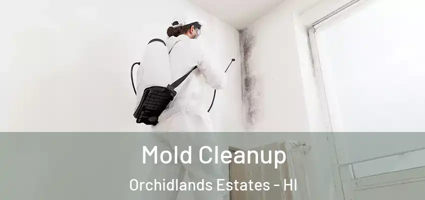 Mold Cleanup Orchidlands Estates - HI