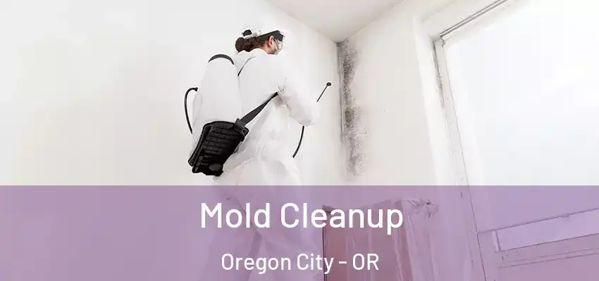  Mold Cleanup Oregon City - OR