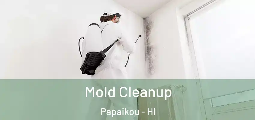 Mold Cleanup Papaikou - HI