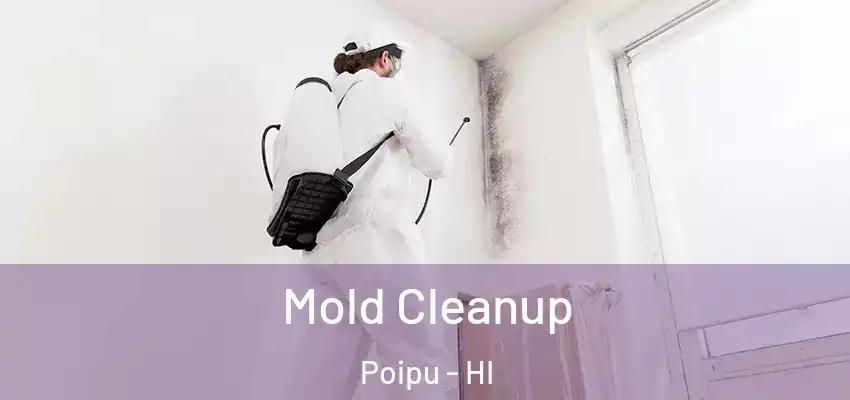  Mold Cleanup Poipu - HI