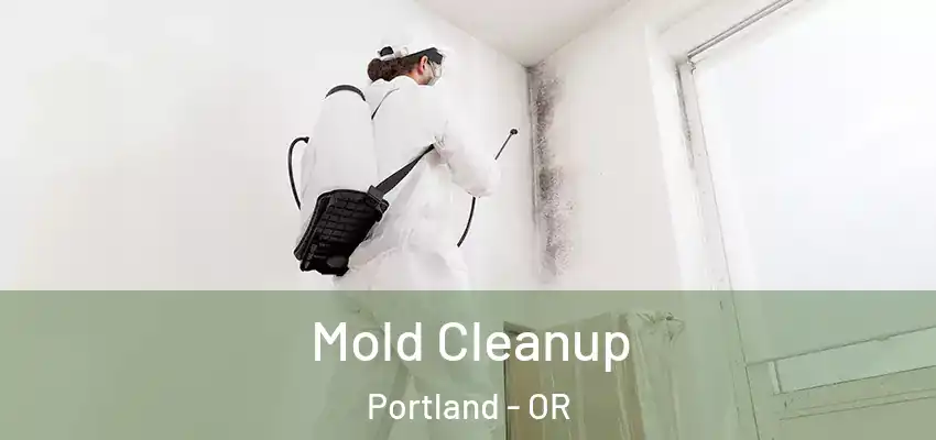  Mold Cleanup Portland - OR